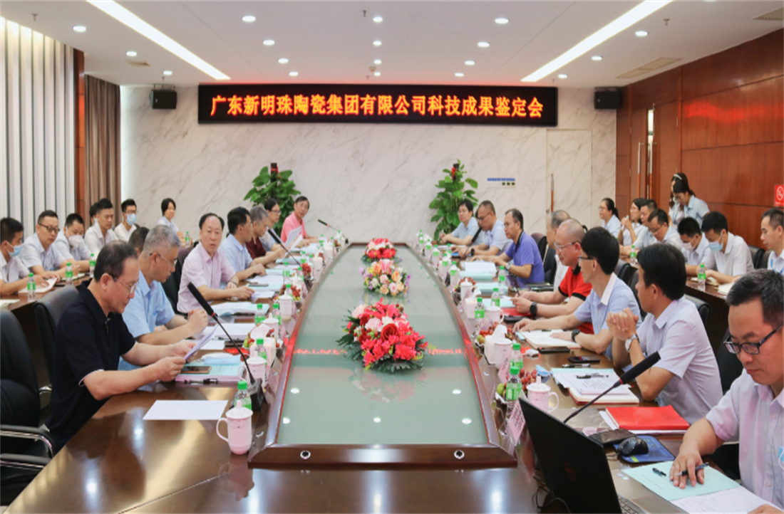 一項“國際領先”，兩項“國際先進”！新明珠3項科技成果成功通過審議